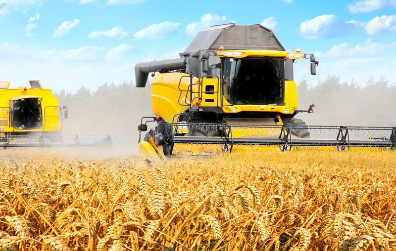 Wheat Slips but Prospects on Higher Demand Supports - food supply